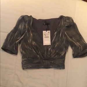 Zara Metallic Crop Top